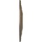 Ekena Millwork Vienna Ceiling Medallion (Fits Canopies up to 6 1/2"), 20"OD x 3 1/2"ID x 1 1/2"P, Warm Silver CM20VIWSS - alternate 3